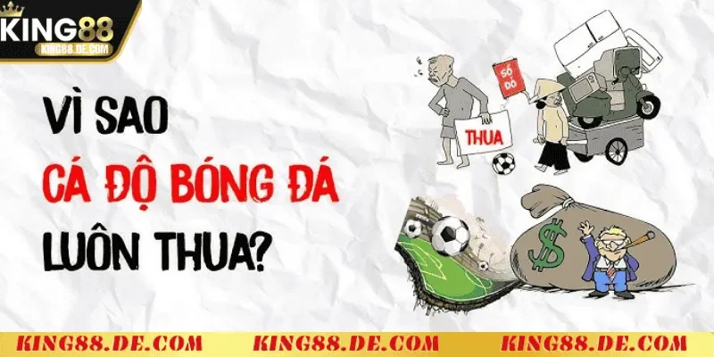 Tại Sao Cá Độ Bóng Đá Luôn Thua – Nguyên Nhân Và Giải Pháp